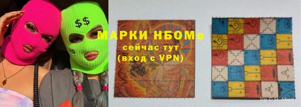 соль ск Новозыбков