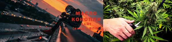 соль ск Новозыбков
