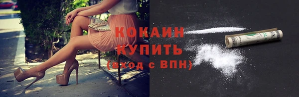 сатива Новокубанск
