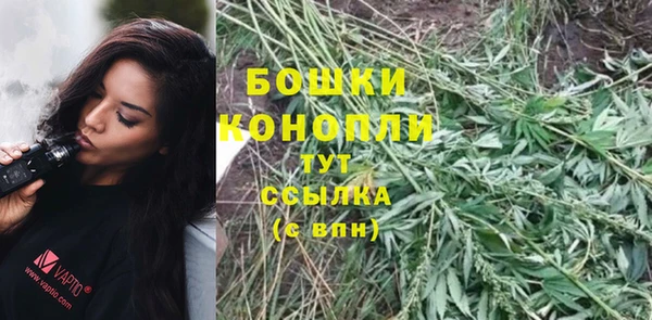 соль ск Новозыбков