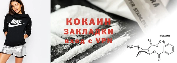 соль ск Новозыбков