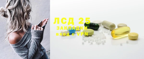 сатива Новокубанск