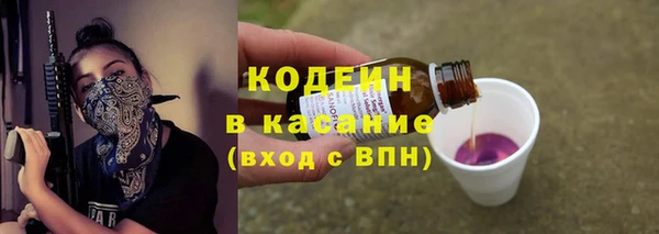 соль ск Новозыбков