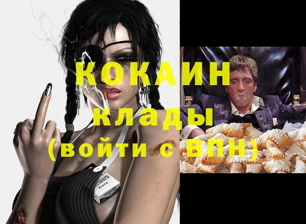 сатива Новокубанск