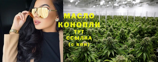соль ск Новозыбков