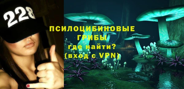соль ск Новозыбков