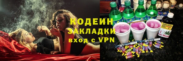 соль ск Новозыбков