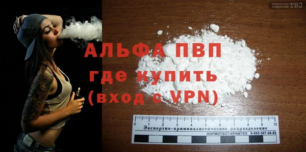 соль ск Новозыбков