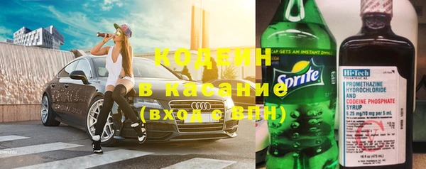 сатива Новокубанск