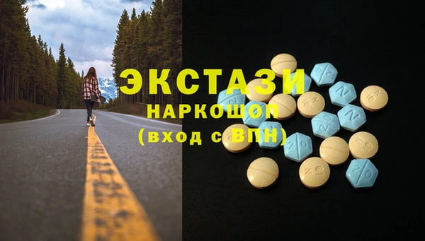 соль ск Новозыбков