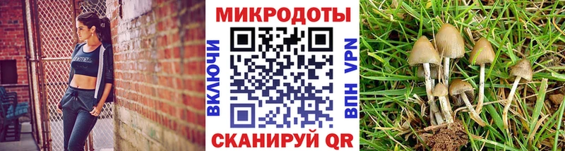 где купить наркотик  Байкальск  Галлюциногенные грибы MAGIC MUSHROOMS 